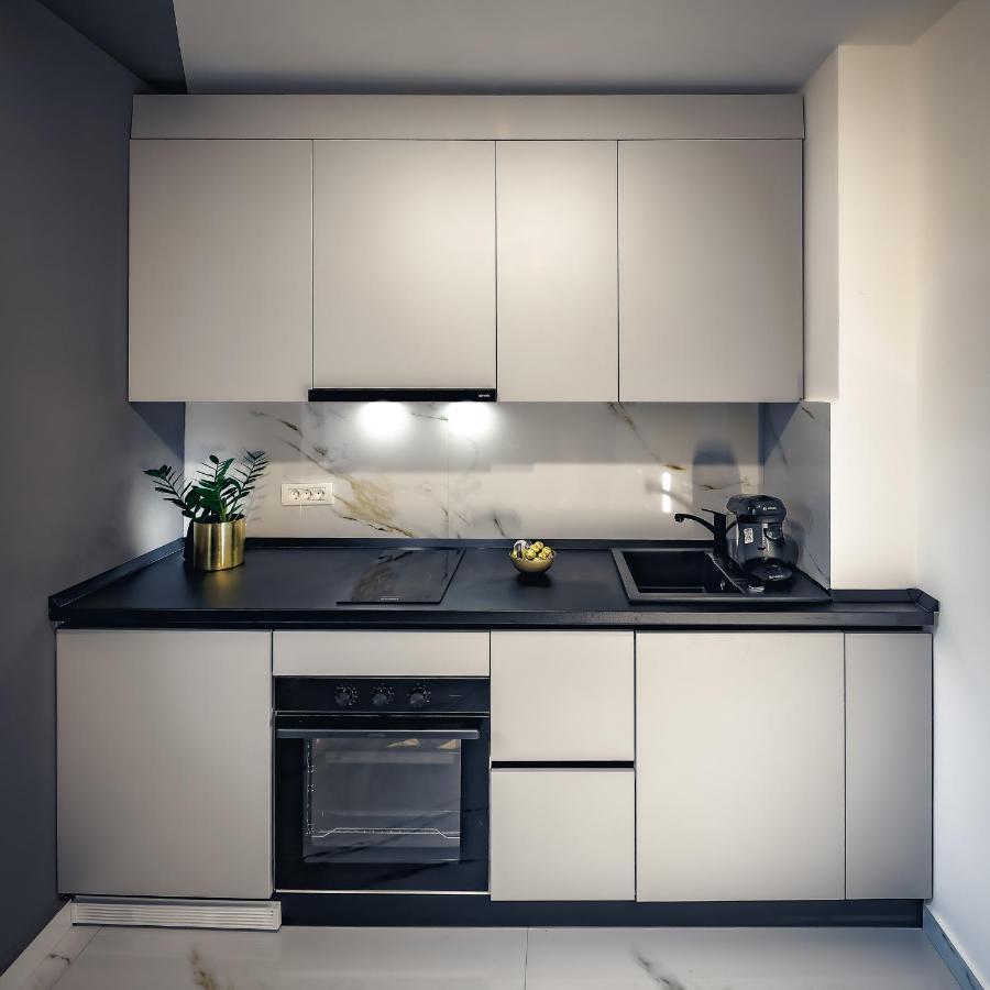 Central Luxury Home Timişoara Extérieur photo