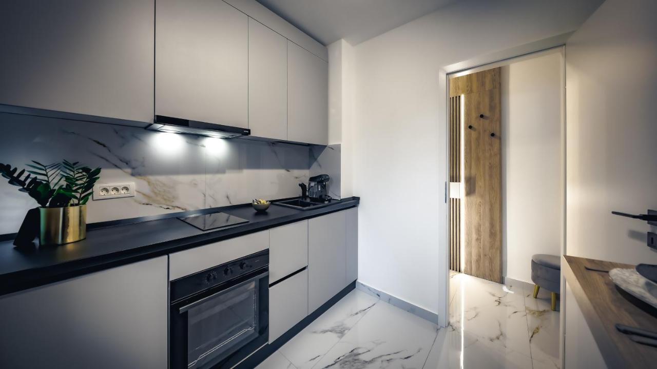 Central Luxury Home Timişoara Extérieur photo