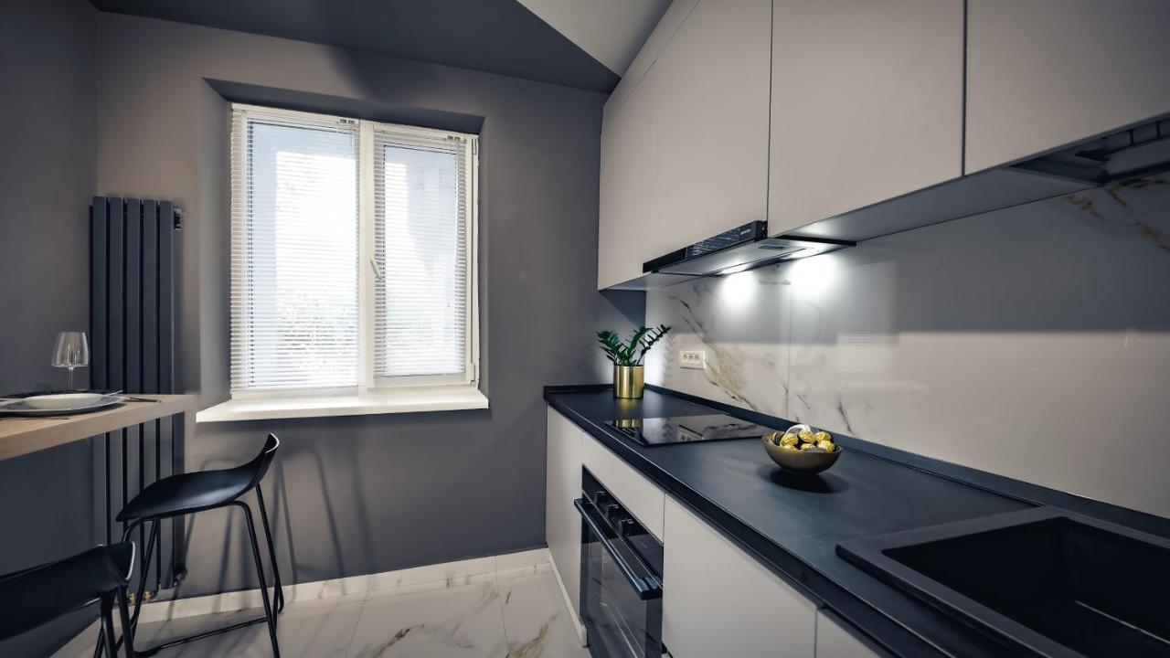 Central Luxury Home Timişoara Extérieur photo